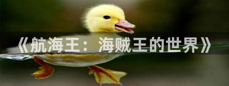 在线免费动漫之家：《航海王：海贼王的世界》